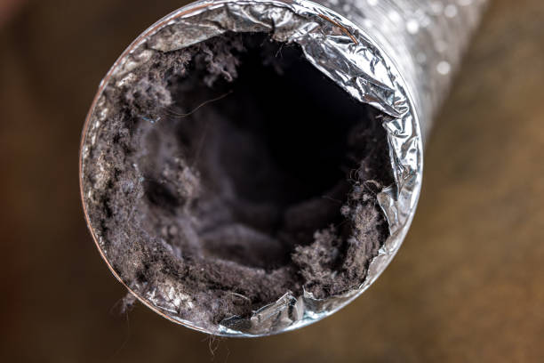 Best Home Air Vent Cleaning  in Ellaville, GA