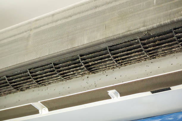 Best Best Air Duct Cleaning Near Me  in Ellaville, GA